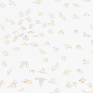 【シャビーシック】鳥の群れのオパールプリントのレースカーテン【HS-3553】ナチュラルホワイト