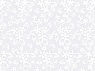 【フレンチ ビンテージ】小花のラメ刺繍のレースカーテン＆シェード【HS-8533】ホワイト