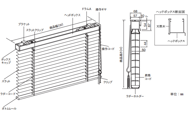 クオレ50ループコード式