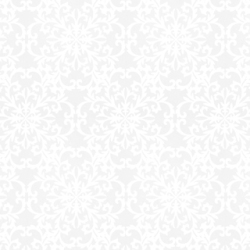 【ゴシック+モダン】ダマスク柄のオパールプリントのレースカーテン＆シェード【RX-9045】ホワイト